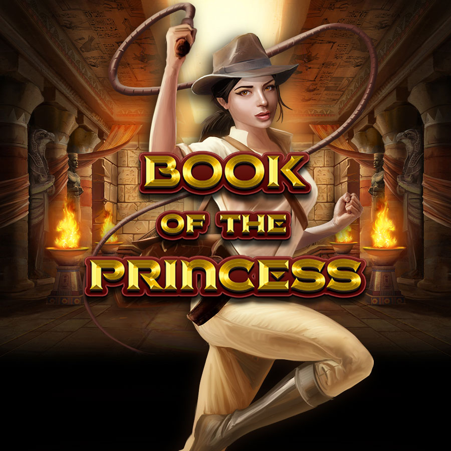 Book of The Princess