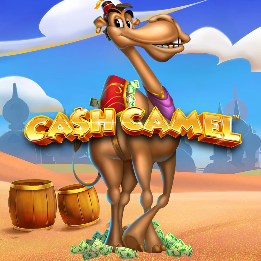 Cash Camel