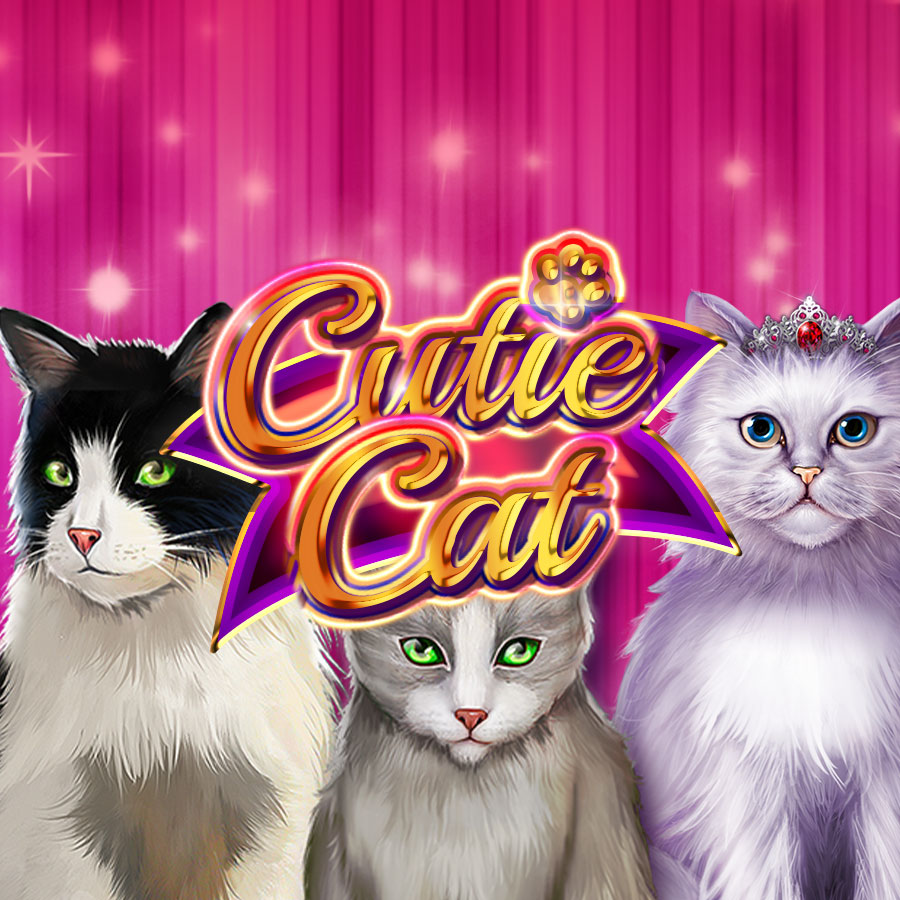 Cutie Cat