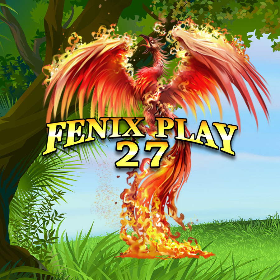 Fenix Play 27