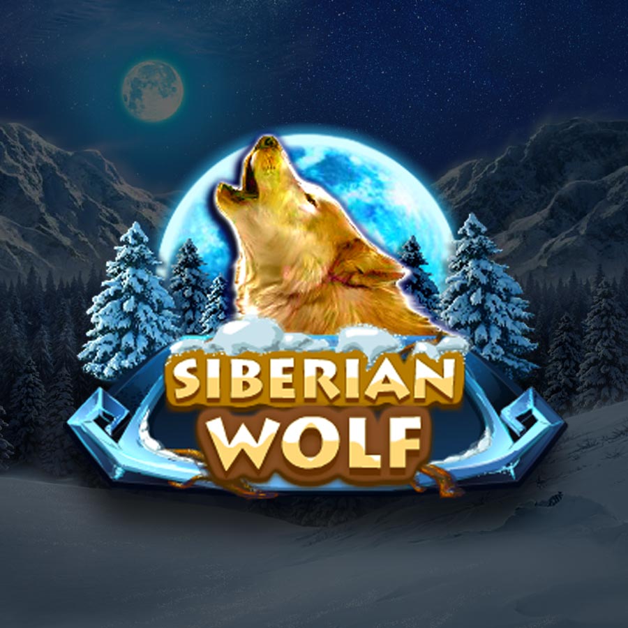 Siberian Wolf