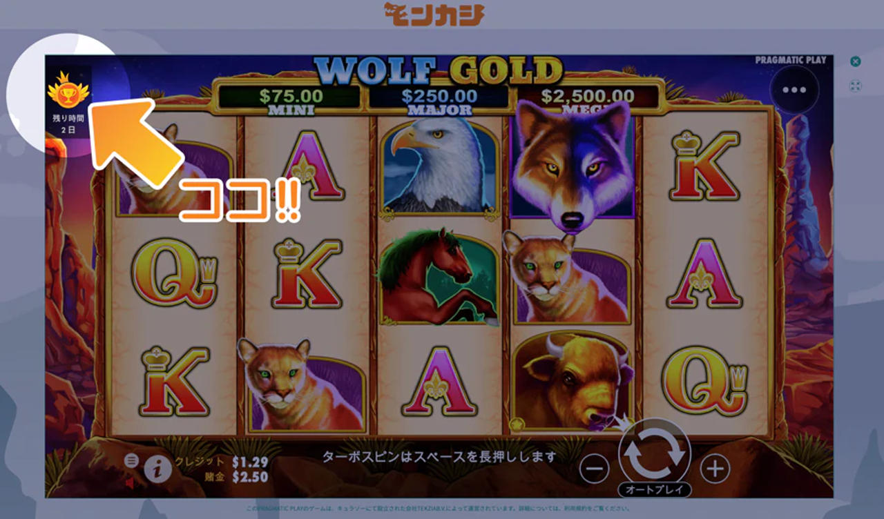 ガイド トーナメント 1 パソコン版