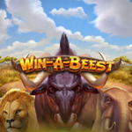 Win a Beest