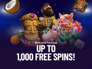 Welcome offer new - promo card