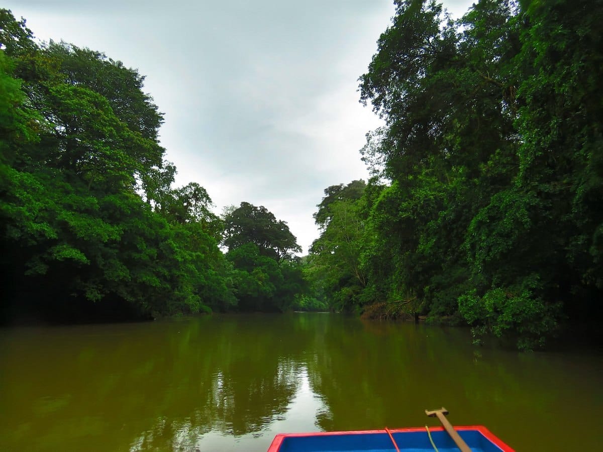 Boat Tour