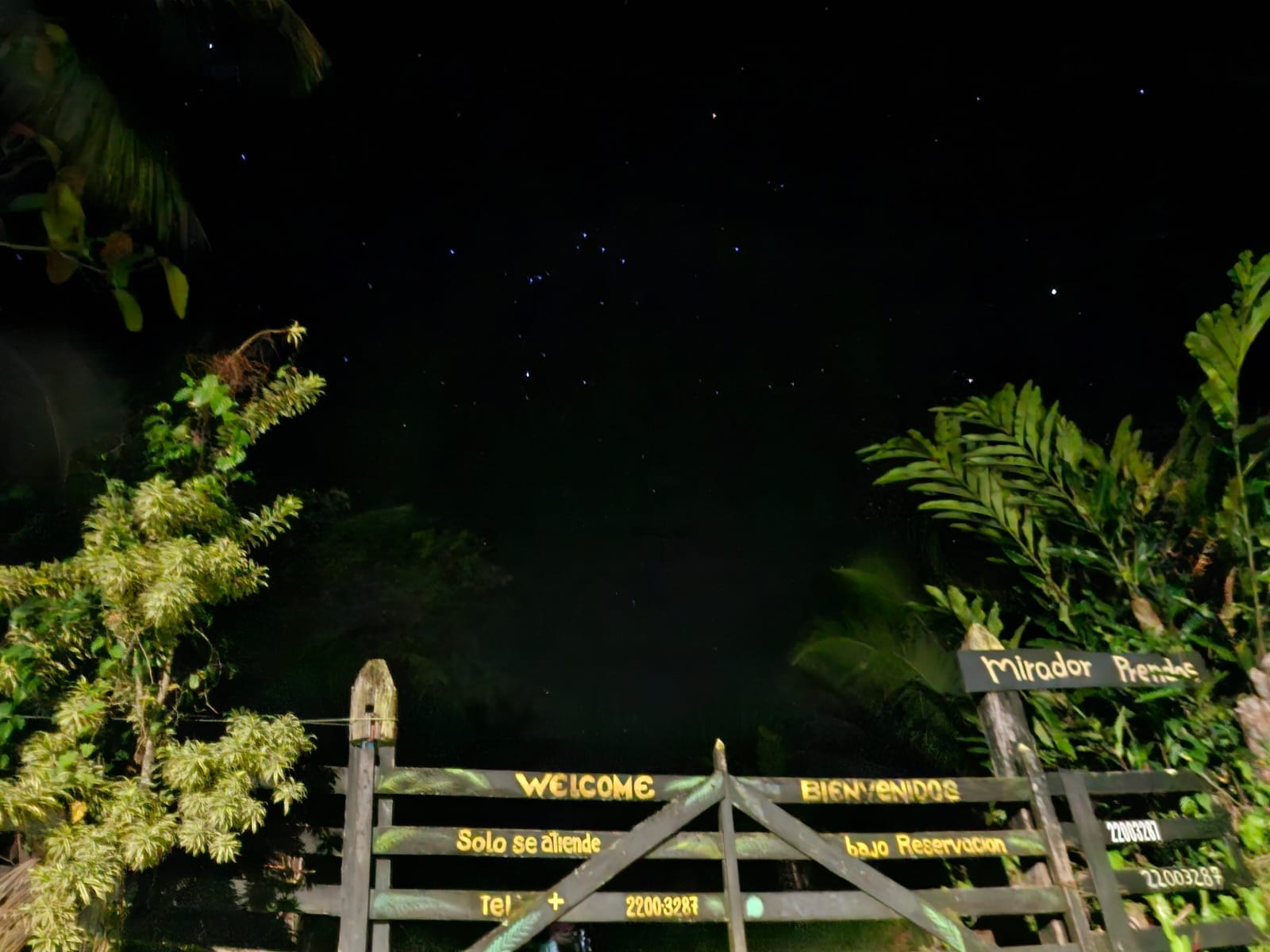 Night Walk