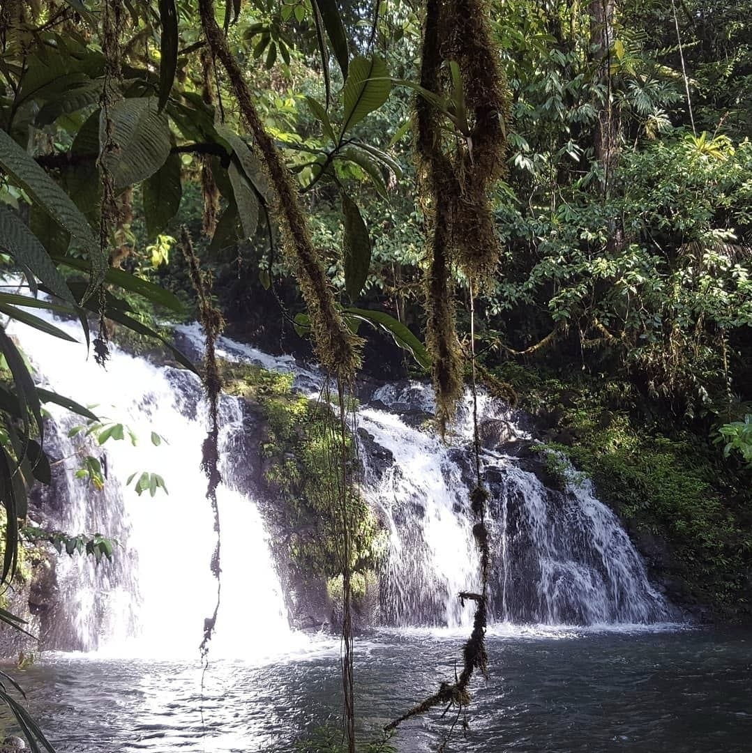 Waterfall Hike