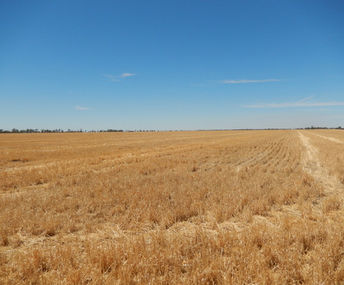 Quality Large Scale Mixed Farming