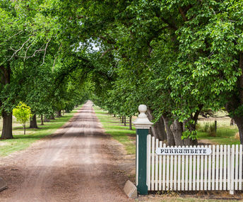 Purrumbete Homestead