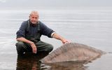 The Nessie expert Steve Feltham next to the dummy torso Nessie during filming.
Translated by «Yandex.Translator»