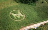 Crop circles against Monsanto made by farmers and volunteers in the Philippines. MELVIN CALDERON/GREENPEACE HO/AP IMAGES.