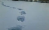 Yeti tracks. A frame from the video