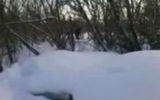 Yeti in the bushes. A frame from the video