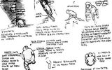 Капони сделал эти рисунки, чтобы объяснить последовательность событий при первой встрече с существом.

