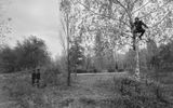 De la urss. Voronezh. El 12 de octubre de 1989, el Lugar del aterrizaje "la nave de los extraterrestres", en palabras de los hijos, testigos de la plantación de "la nave". Foto © Губский S. / noticias en imágenes tass
Traducido del servicio de «Yandex.Traductor»