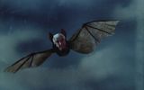 Dracula in the image of a bat
Translated by «Yandex.Translator»