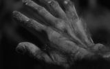 The hand of Glendon in the light of the moon turns into a werewolf paw
Translated by «Yandex.Translator»