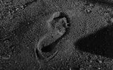 Footprint of a werewolf
Translated by «Yandex.Translator»