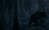 Werewolf in the woods
Translated by «Yandex.Translator»