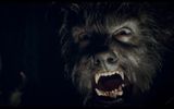 The muzzle of a werewolf
Translated by «Yandex.Translator»
