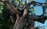 Dragon on a tree