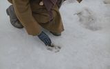 The trail of a huge dog near the place of Sir Baskerville's death