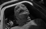 The mummy in the sarcophagus