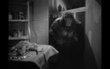 The woman who finally turned into a gorilla