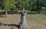 A bright and unusual monument is a stone tree with chopped branches. Monuments in the form of a felled tree were quite common in ancient cemeteries. This is a symbol of an unexpectedly interrupted life.