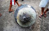 The ball landed in the Northern Brazilian state of Maranhao.
Translated by «Yandex.Translator»