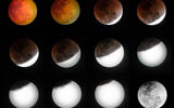 bopnetworks India

The phases of the Super Blue Blood Moon of 2018, through the eclipse.

I captured the individual phases over a period of more than 2 hours and to make things a little interesting, I tried to capture the shadow rather than the light.
