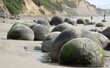 The most famous giant concretions. Moeraki Boulders. New Zealand
Translated by «Yandex.Translator»