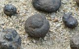 Carbonate (?) nodules. The Hayes Island, Franz Josef Land, Russia. Samples: Miner. Muz. Rggru. Quartz, length 12 cm, sopawadee splitting
Translated by «Yandex.Translator»