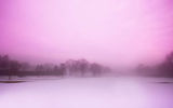 Purple sunset © littleny | Shutterstock.com
Translated by «Yandex.Translator»