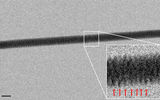 La primera foto de adn
En el año 2012 con un microscopio electrónico y se impuso por un solo punto "estudio fotográfico", el profesor de física de la universidad de la Magna Graecia por el nombre de Энзо Di fabrizio hizo la primera fotografía el modelo de doble hélice de adn.
Traducido del servicio de «Yandex.Traductor»