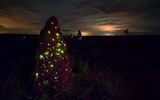 Luminescent termite nests in the Park of EMAS.

Photo © Marcio Cabral from the site storytrender.com
Translated by «Yandex.Translator»