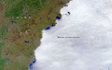 8 APR 2014 the satellite "Landsat-8" filmed the classic example of marine stratocumulus clouds off the coast of China.
Translated by «Yandex.Translator»