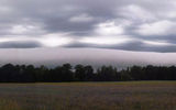 Cloud type volutus. © MIROSALV CHICHANOWICZ
Translated by «Yandex.Translator»