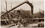 Annengofsky grove, the aftermath of a tornado on June 16, 1904