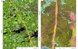 Ветровалы от смерчей на снимках Landsat: (а) 24 июля 1993 года в Новгородской области; (б) в августе 2001 года в Томской области
