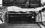 A 1937 black-and-white photograph showing a long creature that fishermen pulled out of the stomach of a whale near the Queen Charlotte Islands.