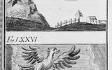 Figure LXXV: A phenomenon observed during the passage of the comet of 1543. Figure LXXVI: a phenomenon observed in 1547.