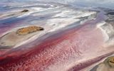 The surface of lake Natron.
Translated by «Yandex.Translator»