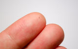 An unclassified metal ball (possibly micrometeorite) on the tip of my index finger.
Image courtesy of Ryan Thompson, 2012