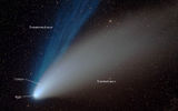 The structure of the comet
Translated by «Yandex.Translator»