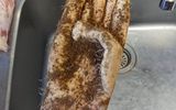 Una batata que parece una mano humana