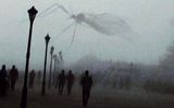 Un mosquito voló frente a la lente de la cámaraAutor: u / ThePhantom1994