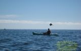 Raya en el salto.

Raya Мобула pariente Marinas, los demonios que habitan en el golfo de méxico.

Los representantes de este tipo de rayas saltan fuera del agua a pocos metros de distancia, выделывая en el aire inconcebibles volteretas y piruetas.

Se toman ovni sobre la superficie del agua (principalmente en la foto)
Traducido del servicio de «Yandex.Traductor»