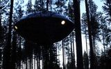 В Швеции существуют оригинальные гостиницы на деревьях, сделанные по UFO-типу
