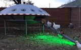 Chicken coop in the form of a flying saucer